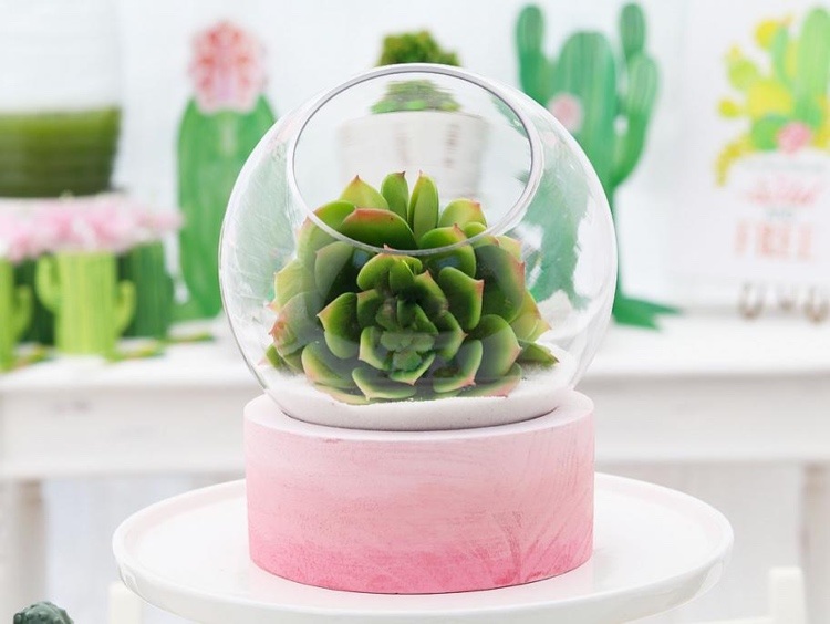 Letné dekorácie ružové terárium sfarbenie nápady pre rok 2020