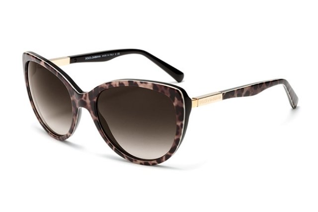 zviera-vzor-kocik-oko-ram-slnecnik-2014