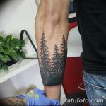 Снимка Модерни татуировки 23.08.2018 №260 - Модерни татуировки -