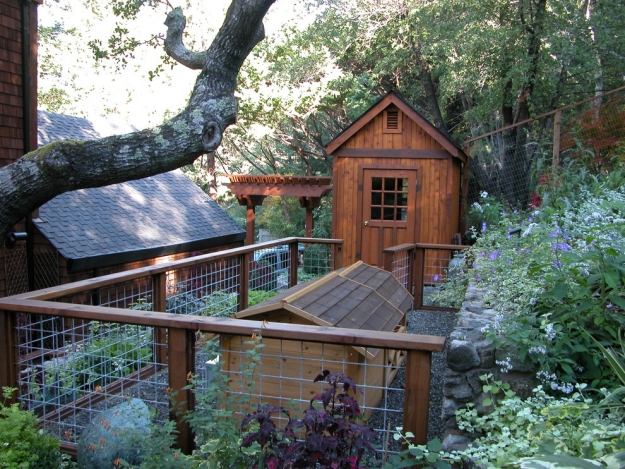 Zábava pre psa na záhrade Tipy pre tieň búdy Pestujte stromy, ktoré vám dodajú veľa energie