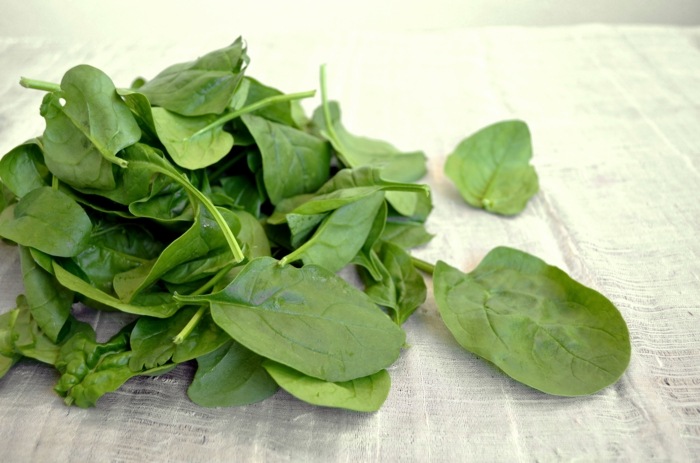 špenát rastliny tipy záhradné práce zelenina jar