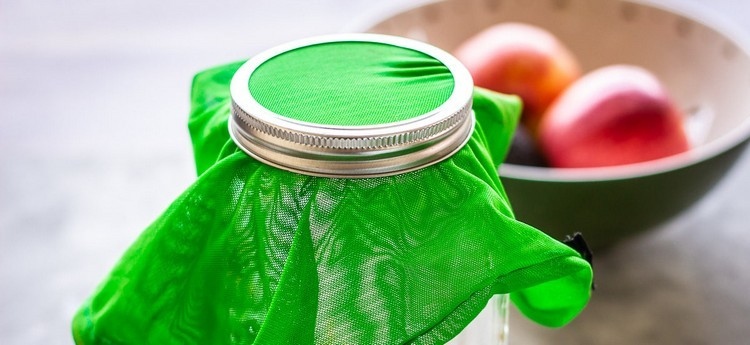 Ako si sami vypestovať klíčky Pokyny pre nádobu s vekom