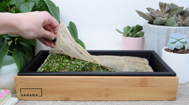 Mikrogreeny a klíčky v klíčidle vytiahnu pokyny