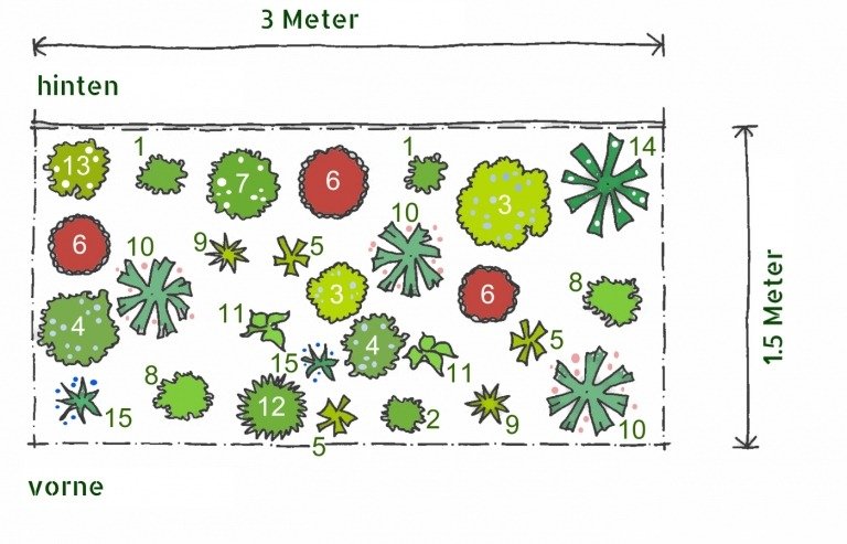 Výsadbový plán trvalkového záhona tienisté jarné kvety rastliny