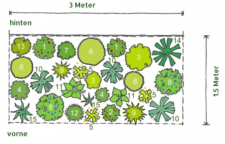 Výsadbové plány pre trvalkové záhony zadarmo tienisté leto