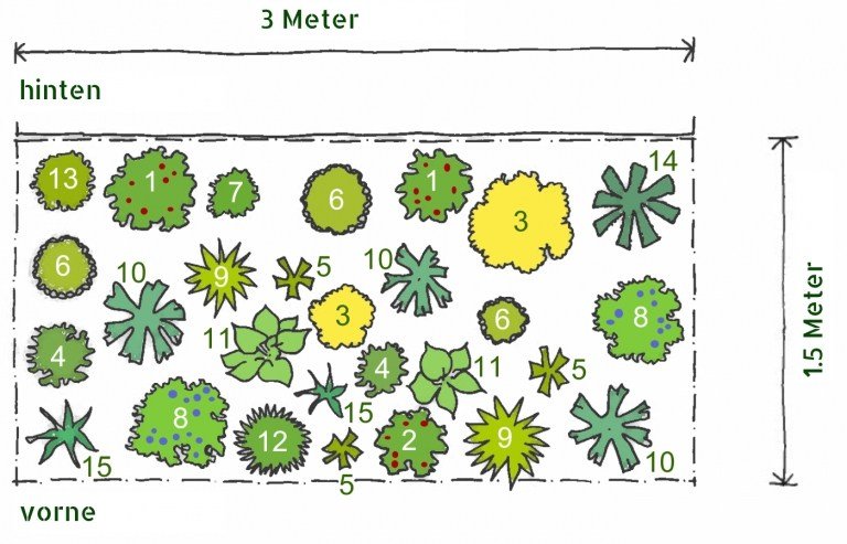 Výsadbový plán viacročného záhonu Opätovná výsadba tieňovanej polotieňovej tlače zadarmo tienisté leto