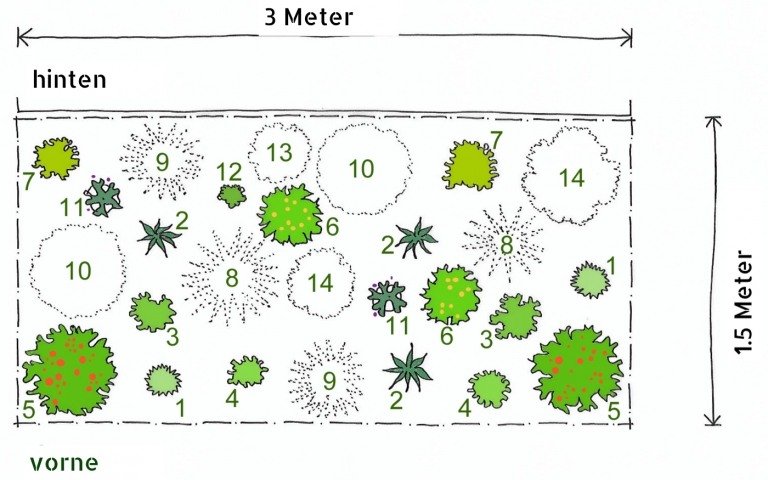 bezplatný plán výsadby trvalkový záhon slnečná opätovná výsadba jar