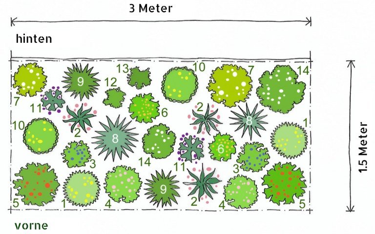 Výsadbový plán trvalkový záhon slnečno zadarmo slnečné leto