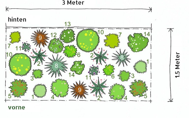 Plán výsadby trvalkových záhonov na slnečnú jeseň