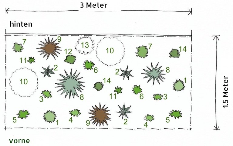 Výsadbový plán trvalkových záhonov slnečná zimná opätovná výsadba