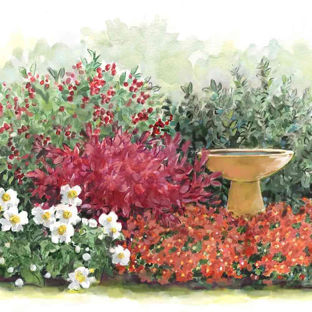 Trvalý záhonový plán výsadby slnečných jesenných kvetov rozložte červené akcenty kvetov