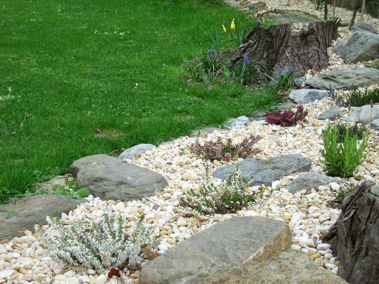prevedenie kamenného lôžka béžovo-štrkové-kamene-biele-eriken-plocha trávnika
