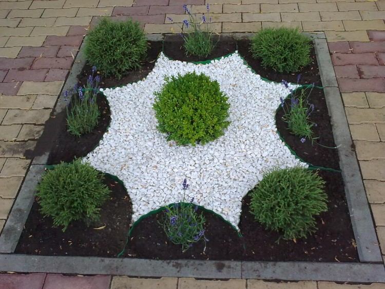 ihličnaté drevo-dizajn-biely-štrk-v tvare hviezdy-hrana