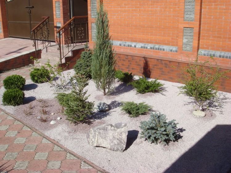 kamene-predná-dvor-dvor-tolerantná voči suchu-rastliny-ihličnaté-druhy