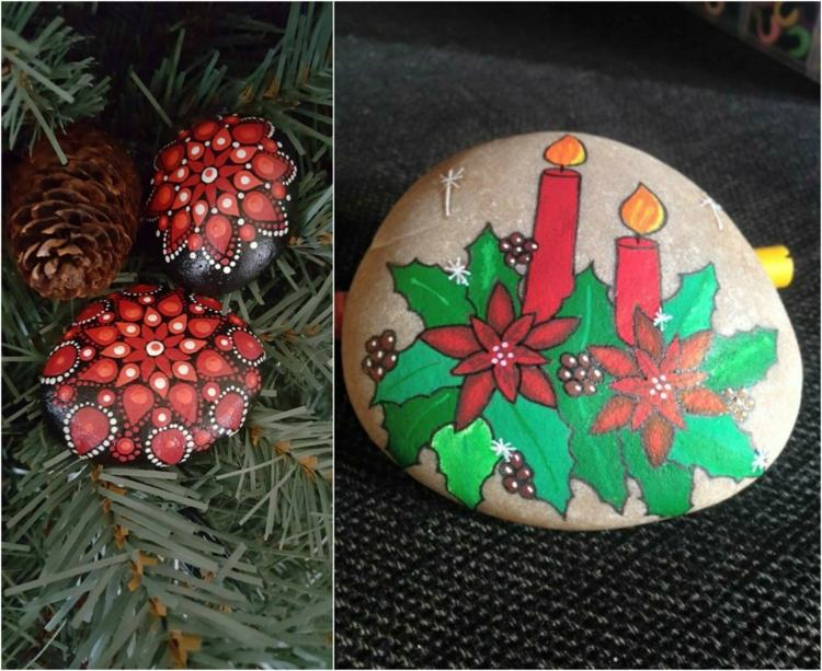 ozdoby zimné kvety vianočná hviezda