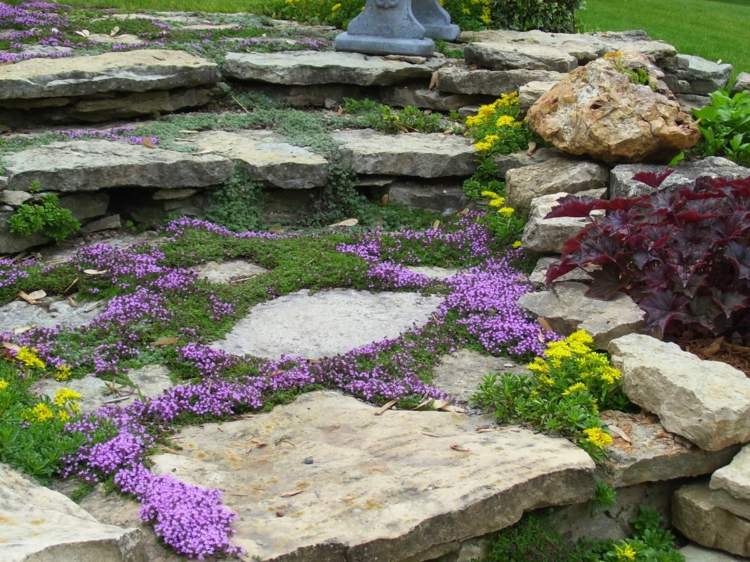 vytvorte skalku kamenné dosky pôdopokryvné kvety purpurovo žlté etapy