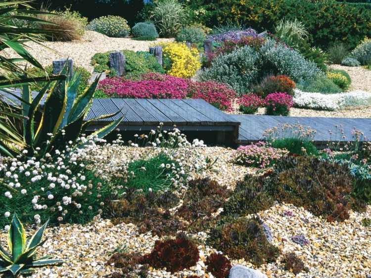 Nápad na štrkovú skalku skalka vytvoriť štrková púšť dizajn farebné kríky lávka