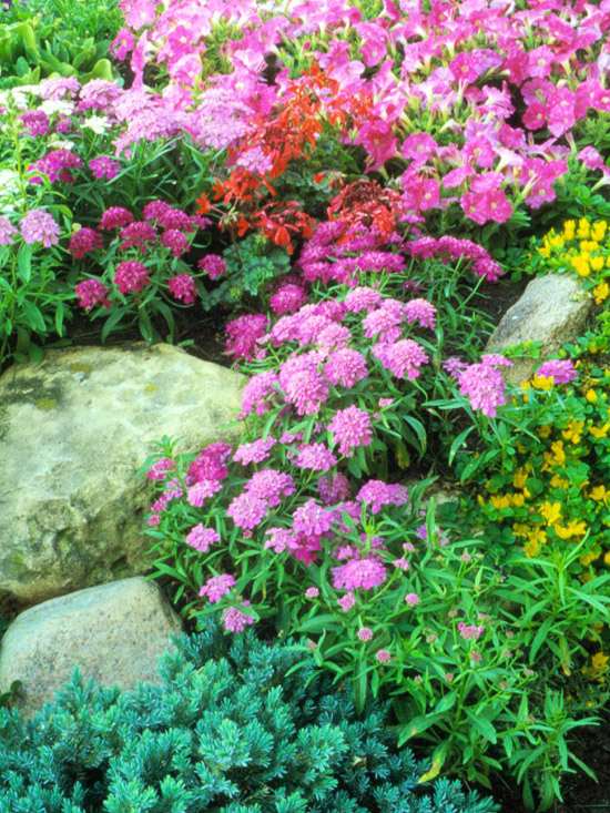 Záhradné plánovacie kamene pre záhradné alpské Záhradné plánovacie kamene pre vysokohorské záhradníctvo