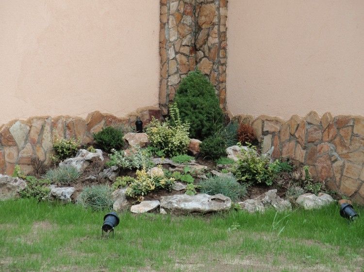 Vytvorte skalku zatienenú-roh-eonymus-spindelstraich-thuja-medvediu trávu