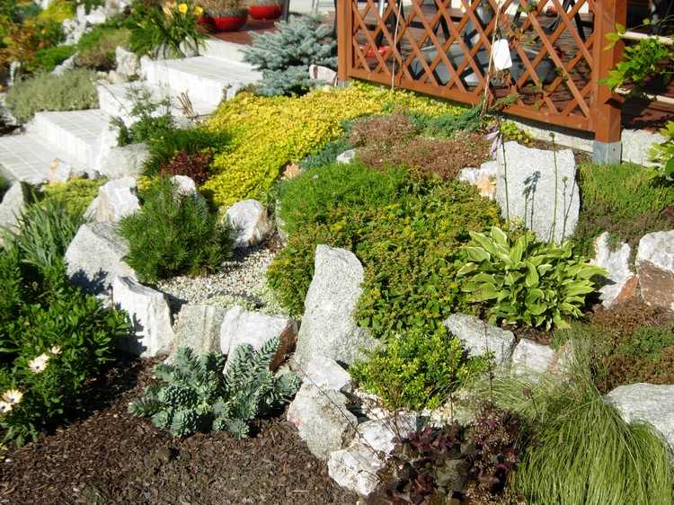 rock-garden-create-terasovitá-poloha-ground-cover-funkia