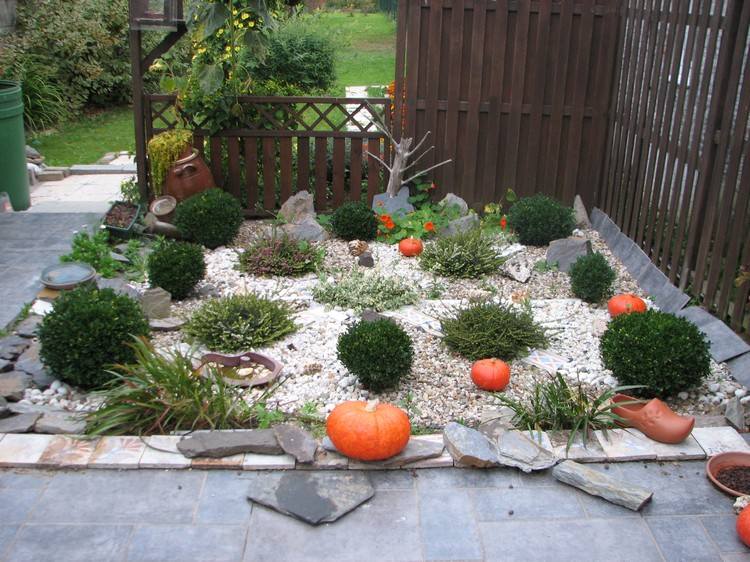 rock-garden-create-box-strom-gule-štrk-vrstva