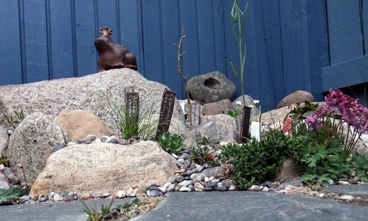 skalná záhrada-vytvorte-kamene-rastlina-značky