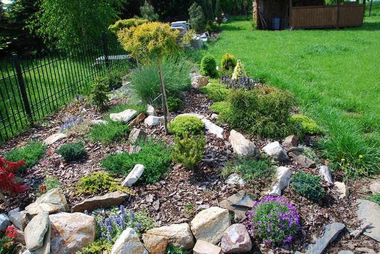 skalka-položenie-mulčovanie-zemný kryt-vždyzelené drevo