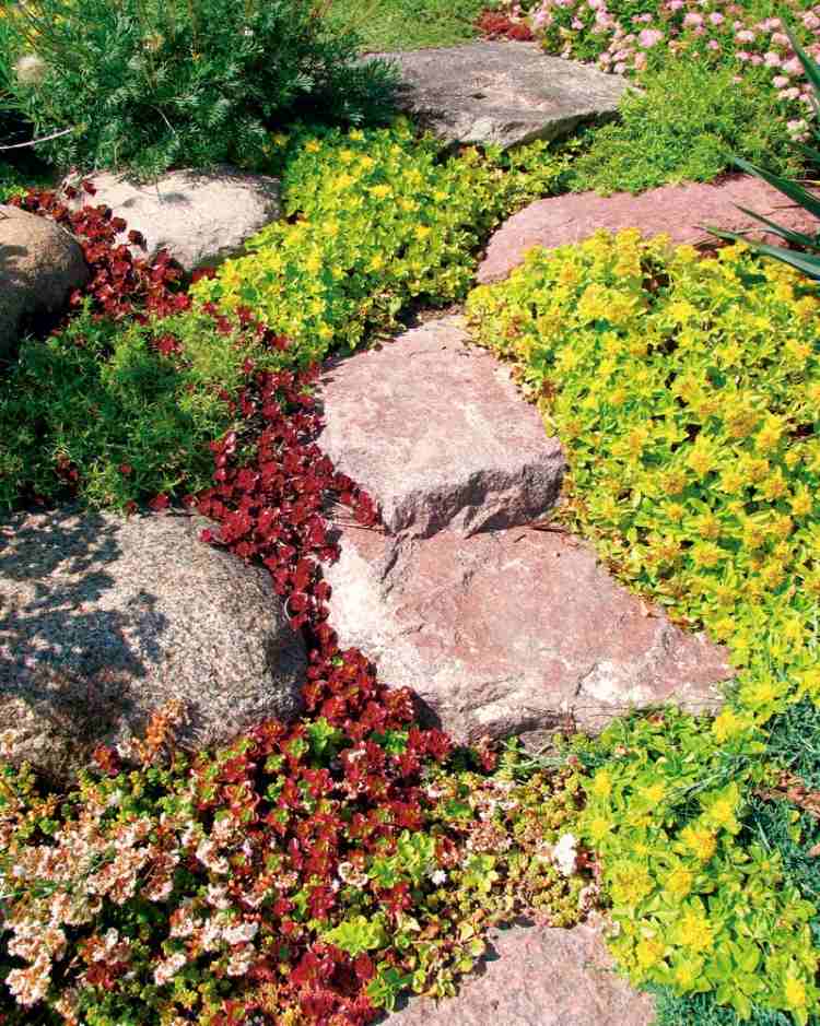 Skalka-veľké skaly-krycia farba zeme