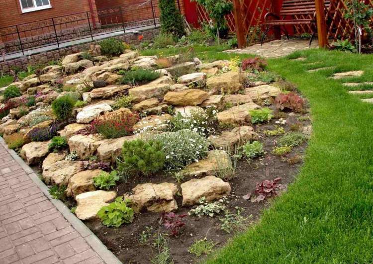 skalka-žltá-skalka-zem-pokrývka-rastliny