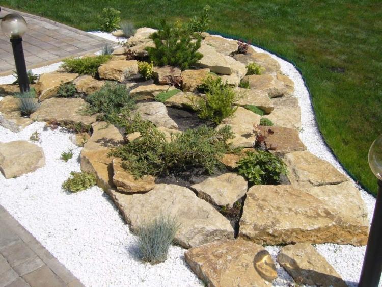 Skalka-biela-dekoratívna-štrk-vždyzelená-rastlina