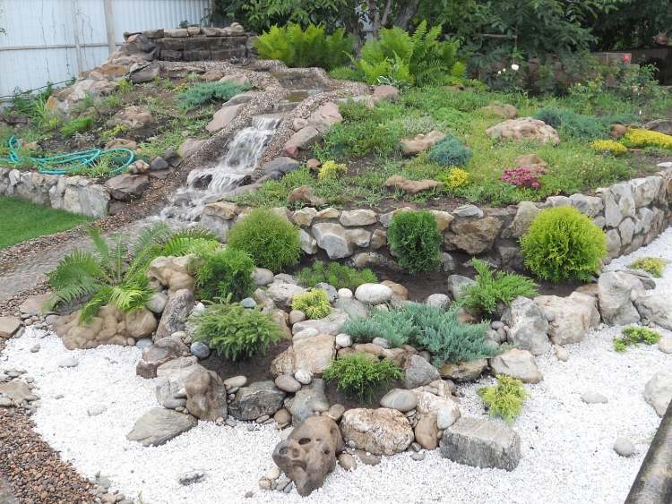 skalka-vodopád-rastlina-borievka-druhy