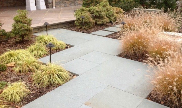 vysoká bylinková záhradná cesta vytvára nápady