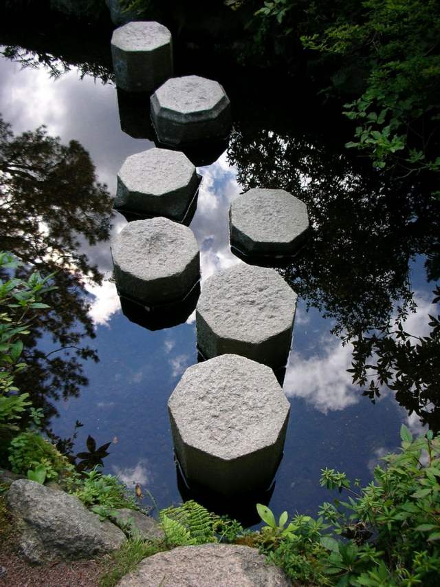 Vytvorte si záhradnú cestu. Vodné rastliny. Postavte si jazierko sami