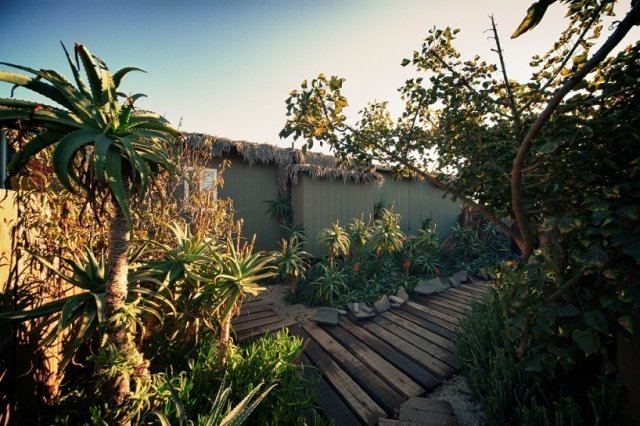 plážový dom chodník palmy architektúra alejandro dacosta plážový dom chodník palmy architektonická firma alejandro dacosta