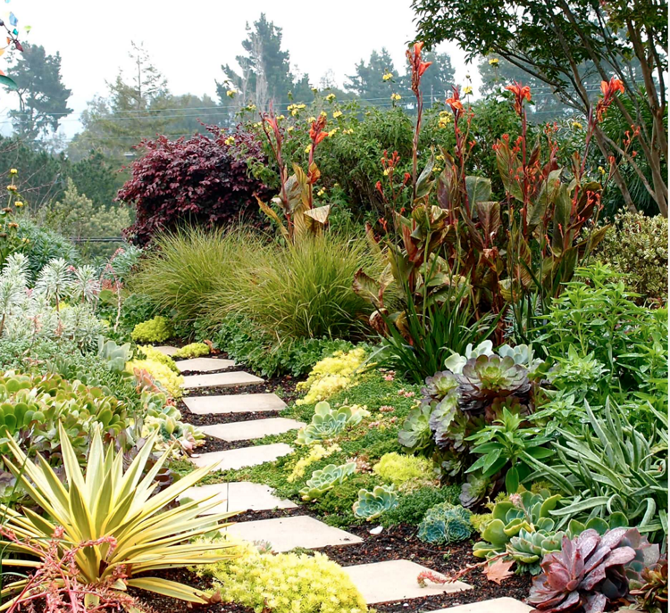 Kríky do záhrady-letná starostlivosť-záhradná cesta-pôdny kryt-kry-okrasná tráva-sukulenty