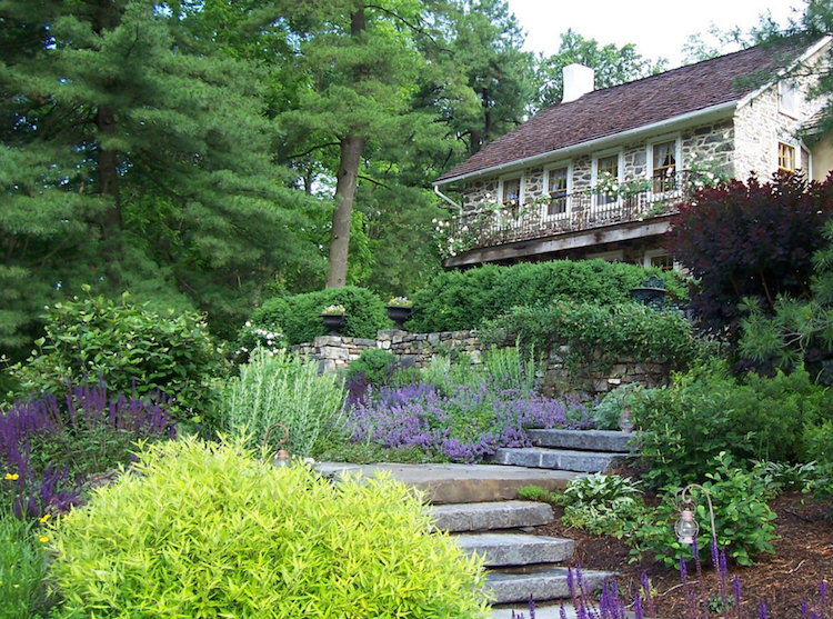 Kríky do záhrady-skalka-letná starostlivosť-skalný dom-kamenné dosky-svah-levanduľa