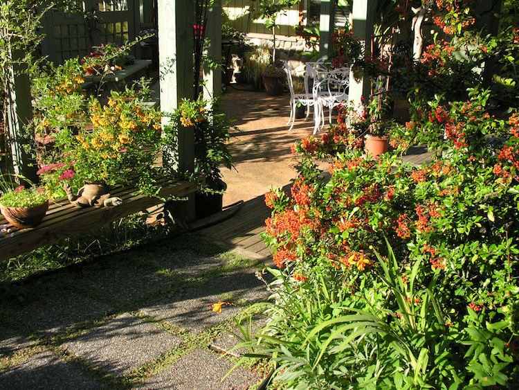 kry-záhrada-letná-starostlivosť-záhradný design-pergola-bobule-firethorn