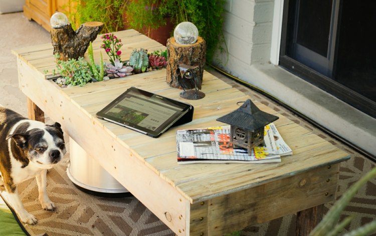 Sukulentné usporiadanie - Pridajte stĺpec pre sukulenty do konferenčného stolíka pre domácich majstrov aranžmán sukulenty nápad na konferenčný stolík kutilský kvetináč tabletová lampa