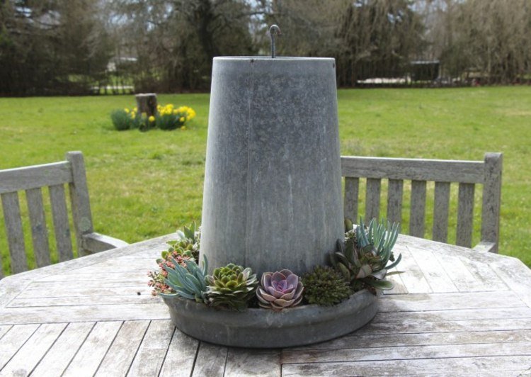 Sukulentné druhy ako dekor na stole šťavnatý dekor na stôl