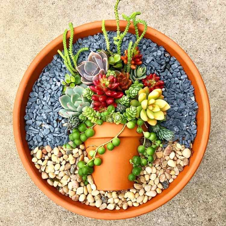 Sukulentná dekorácia DIY s rôznymi druhmi a farbami