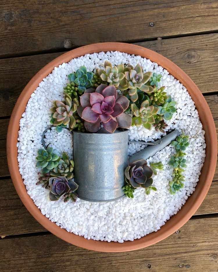 Vytvorte si sukulentné aranžmán sami