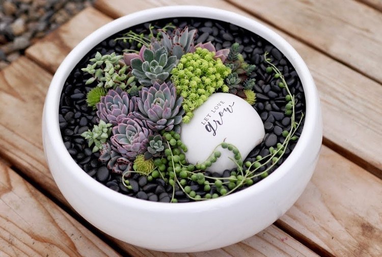 Vyrobte si sukulentné dekorácie sami pomocou keramických nádob a čiernych ozdobných kamienkov