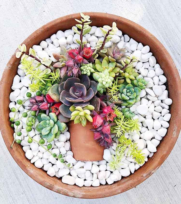 Moderná dekorácia so sukulentmi a bielymi kamienkami