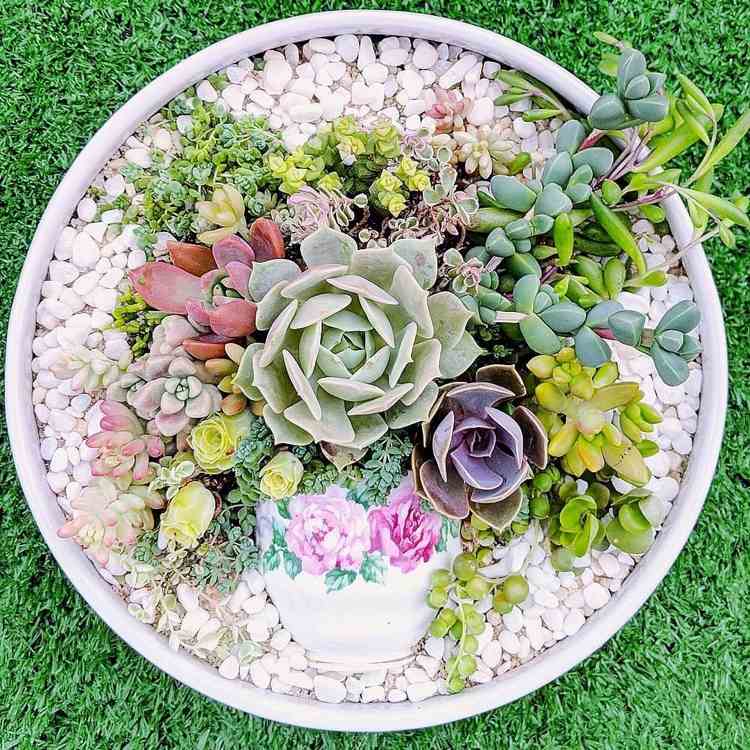sukulentné nápady na dekoráciu - aranžmán s vintage nádychom