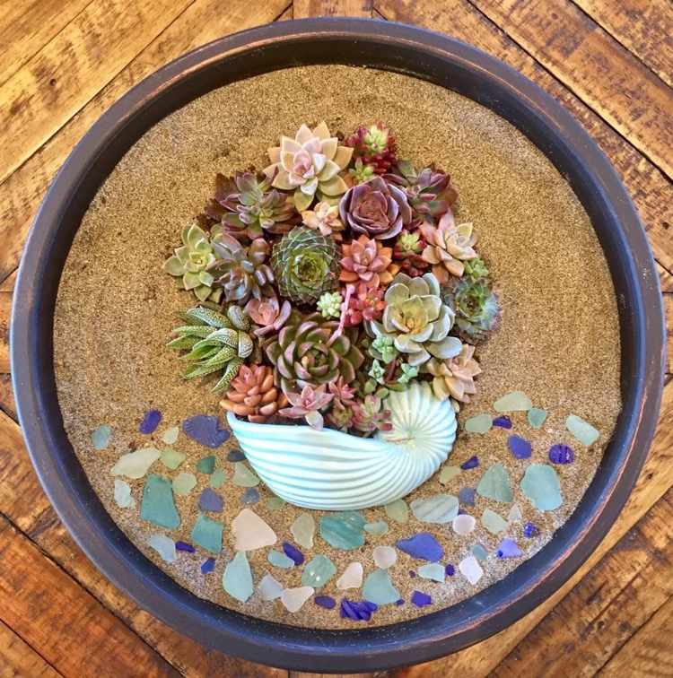 Dekorácia so sukulentmi a plážovou tematikou