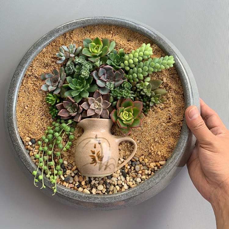Sukulentná dekorácia ako mini záhrada so štrkom a pieskom