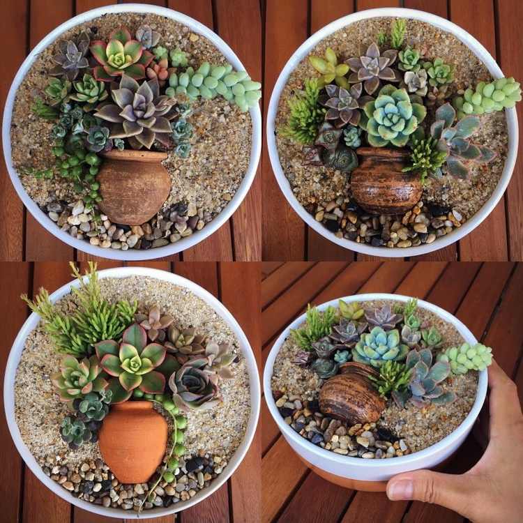 Vyrobte si sukulentné dekorácie sami v terakotovej miske