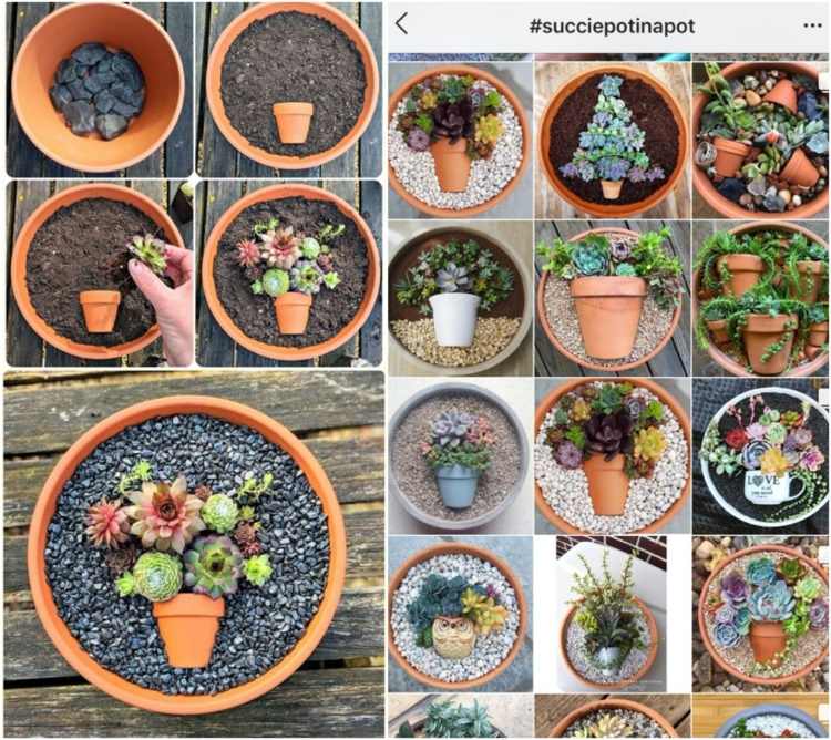 Sukulentná dekorácia v miske - nápad na sladkú výsadbu