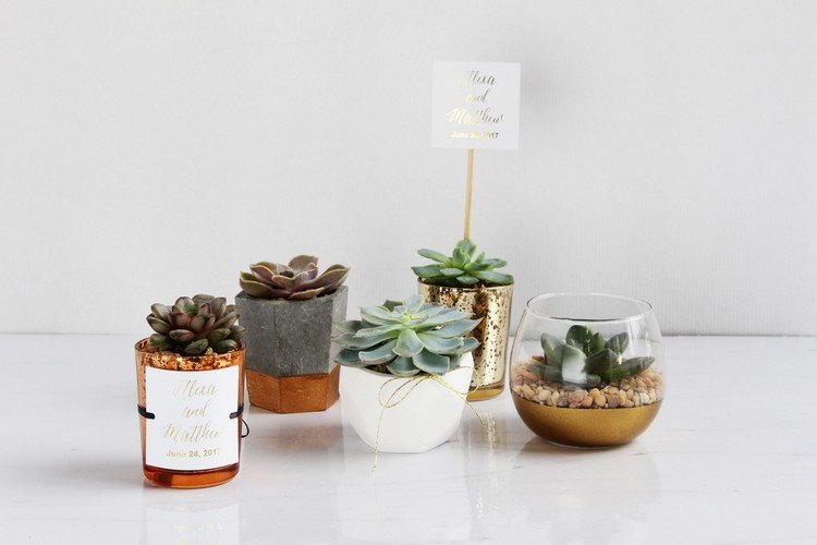 šťavnatá svadobná hostina podporuje nápady