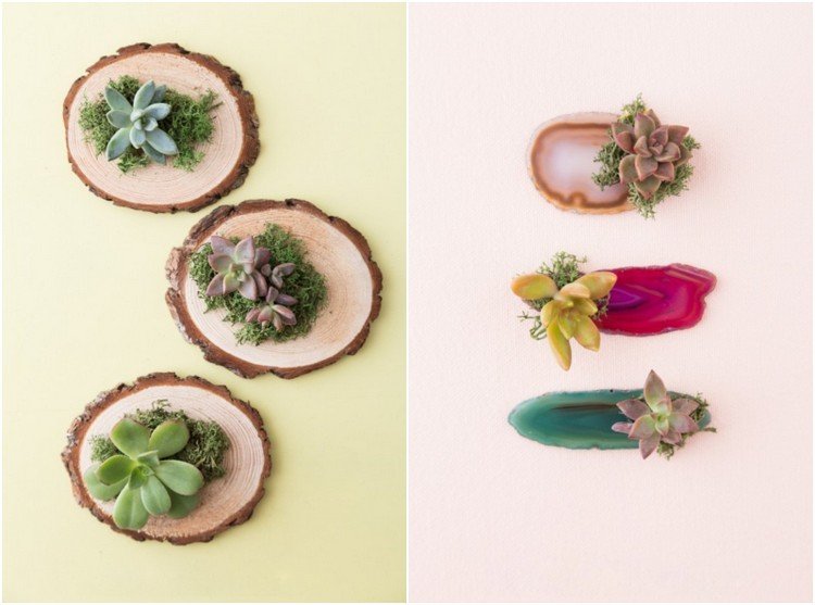 DIY darčeky pre svadobné sukulenty drevené plátky kremenných kameňov